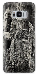 Load image into Gallery viewer, Weathered Wooden Post - Phone Case

