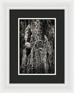 Load image into Gallery viewer, Weathered Wooden Post - Framed Print

