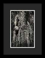 Load image into Gallery viewer, Weathered Wooden Post - Framed Print
