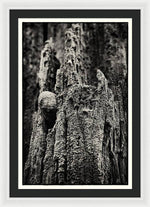 Load image into Gallery viewer, Weathered Wooden Post - Framed Print
