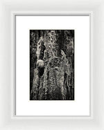 Load image into Gallery viewer, Weathered Wooden Post - Framed Print
