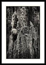 Load image into Gallery viewer, Weathered Wooden Post - Framed Print
