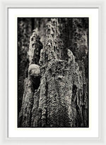 Load image into Gallery viewer, Weathered Wooden Post - Framed Print
