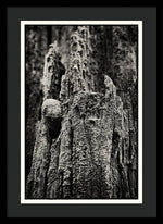 Load image into Gallery viewer, Weathered Wooden Post - Framed Print
