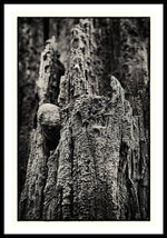 Load image into Gallery viewer, Weathered Wooden Post - Framed Print
