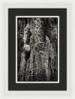 Load image into Gallery viewer, Weathered Wooden Post - Framed Print

