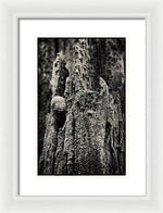 Load image into Gallery viewer, Weathered Wooden Post - Framed Print
