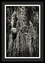 Load image into Gallery viewer, Weathered Wooden Post - Framed Print
