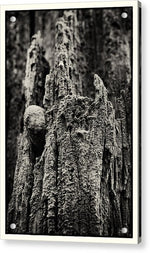 Load image into Gallery viewer, Weathered Wooden Post - Acrylic Print
