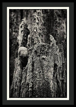 Load image into Gallery viewer, Weathered Wooden Post - Framed Print
