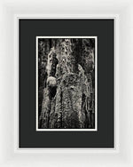 Load image into Gallery viewer, Weathered Wooden Post - Framed Print
