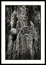 Load image into Gallery viewer, Weathered Wooden Post - Framed Print
