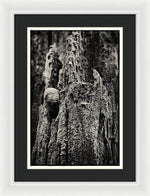 Load image into Gallery viewer, Weathered Wooden Post - Framed Print
