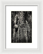 Load image into Gallery viewer, Weathered Wooden Post - Framed Print
