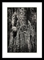 Load image into Gallery viewer, Weathered Wooden Post - Framed Print
