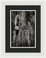 Load image into Gallery viewer, Weathered Wooden Post - Framed Print
