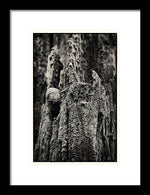 Load image into Gallery viewer, Weathered Wooden Post - Framed Print
