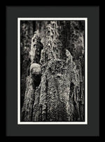 Load image into Gallery viewer, Weathered Wooden Post - Framed Print
