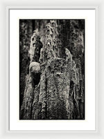 Load image into Gallery viewer, Weathered Wooden Post - Framed Print
