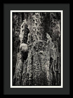 Load image into Gallery viewer, Weathered Wooden Post - Framed Print
