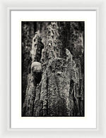 Load image into Gallery viewer, Weathered Wooden Post - Framed Print
