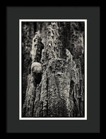 Load image into Gallery viewer, Weathered Wooden Post - Framed Print
