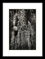 Load image into Gallery viewer, Weathered Wooden Post - Framed Print
