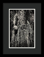 Load image into Gallery viewer, Weathered Wooden Post - Framed Print
