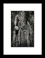 Load image into Gallery viewer, Weathered Wooden Post - Framed Print
