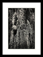 Load image into Gallery viewer, Weathered Wooden Post - Framed Print

