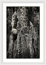 Load image into Gallery viewer, Weathered Wooden Post - Framed Print
