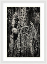 Load image into Gallery viewer, Weathered Wooden Post - Framed Print
