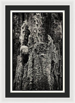 Load image into Gallery viewer, Weathered Wooden Post - Framed Print
